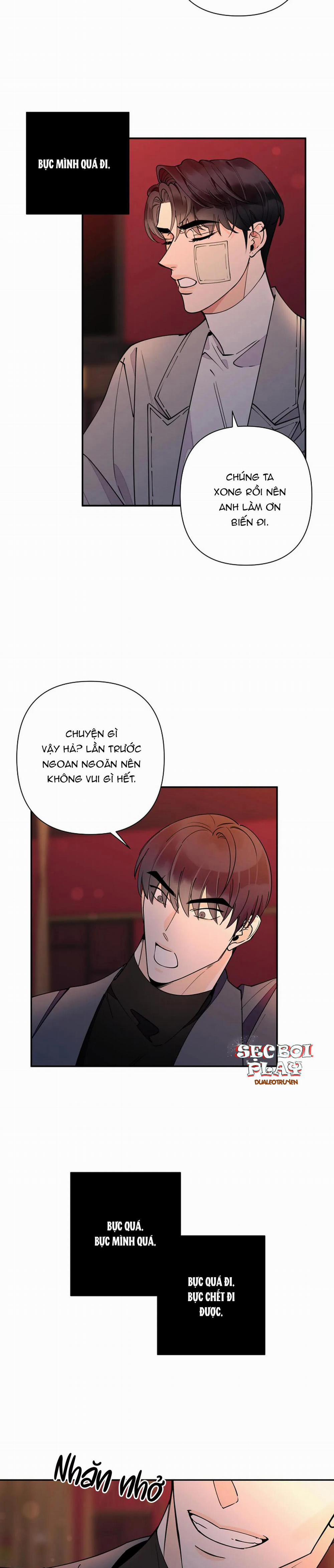 Đêm Dịu Dàng 11 trang 5