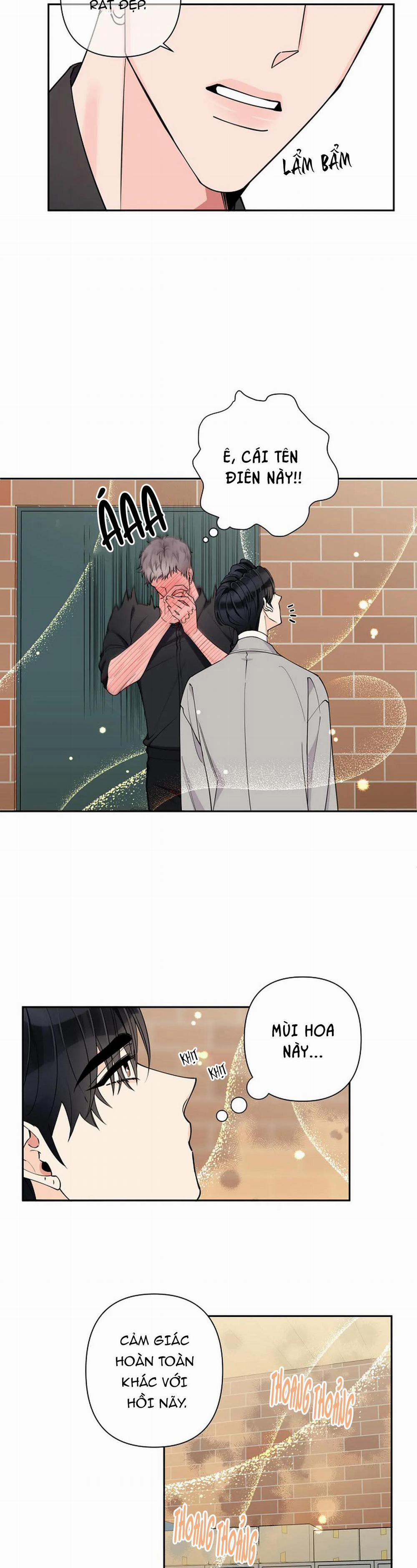 Đêm Dịu Dàng 12 trang 14