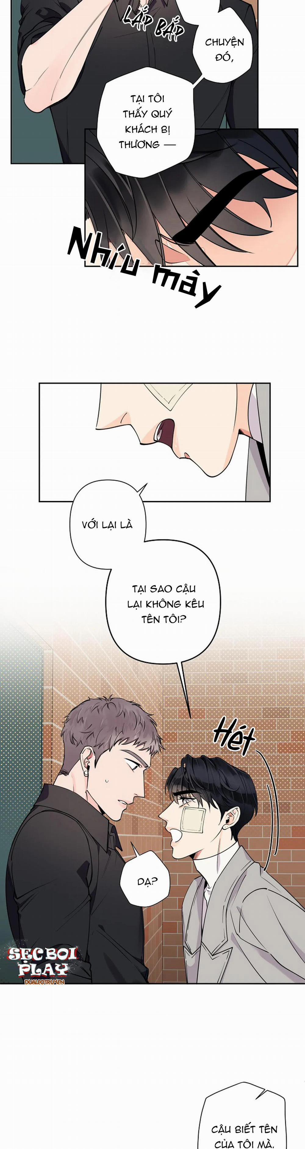 Đêm Dịu Dàng 12 trang 8