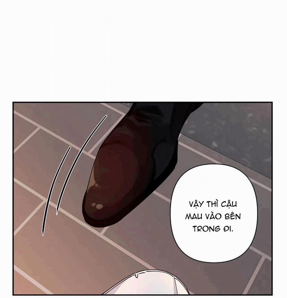 Đêm Dịu Dàng 13 trang 11