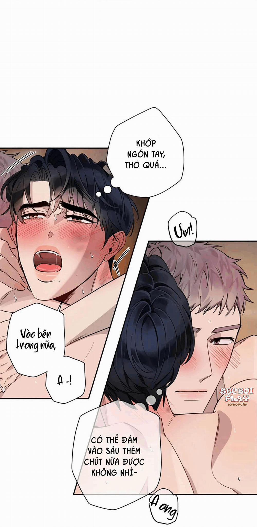 Đêm Dịu Dàng 13 trang 42