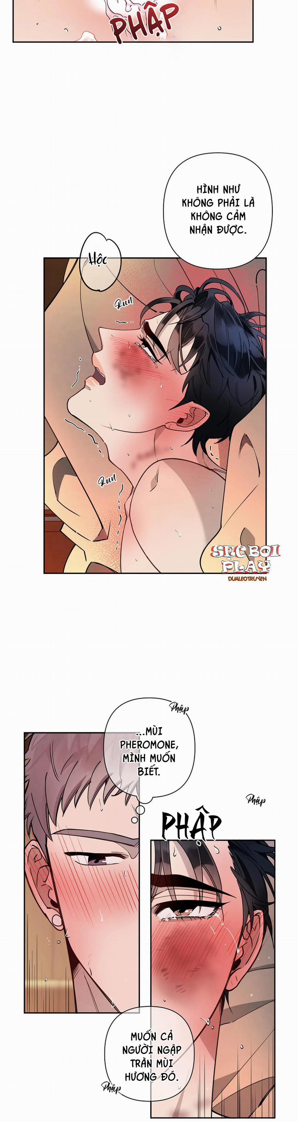 Đêm Dịu Dàng 14 trang 15