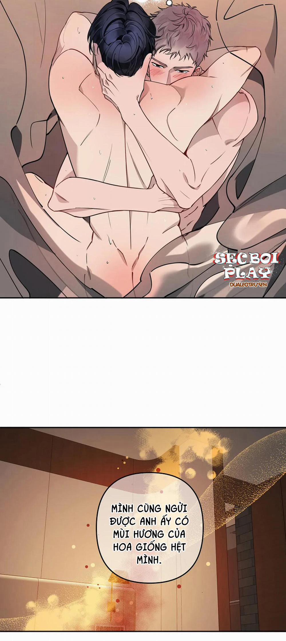 Đêm Dịu Dàng 14 trang 23