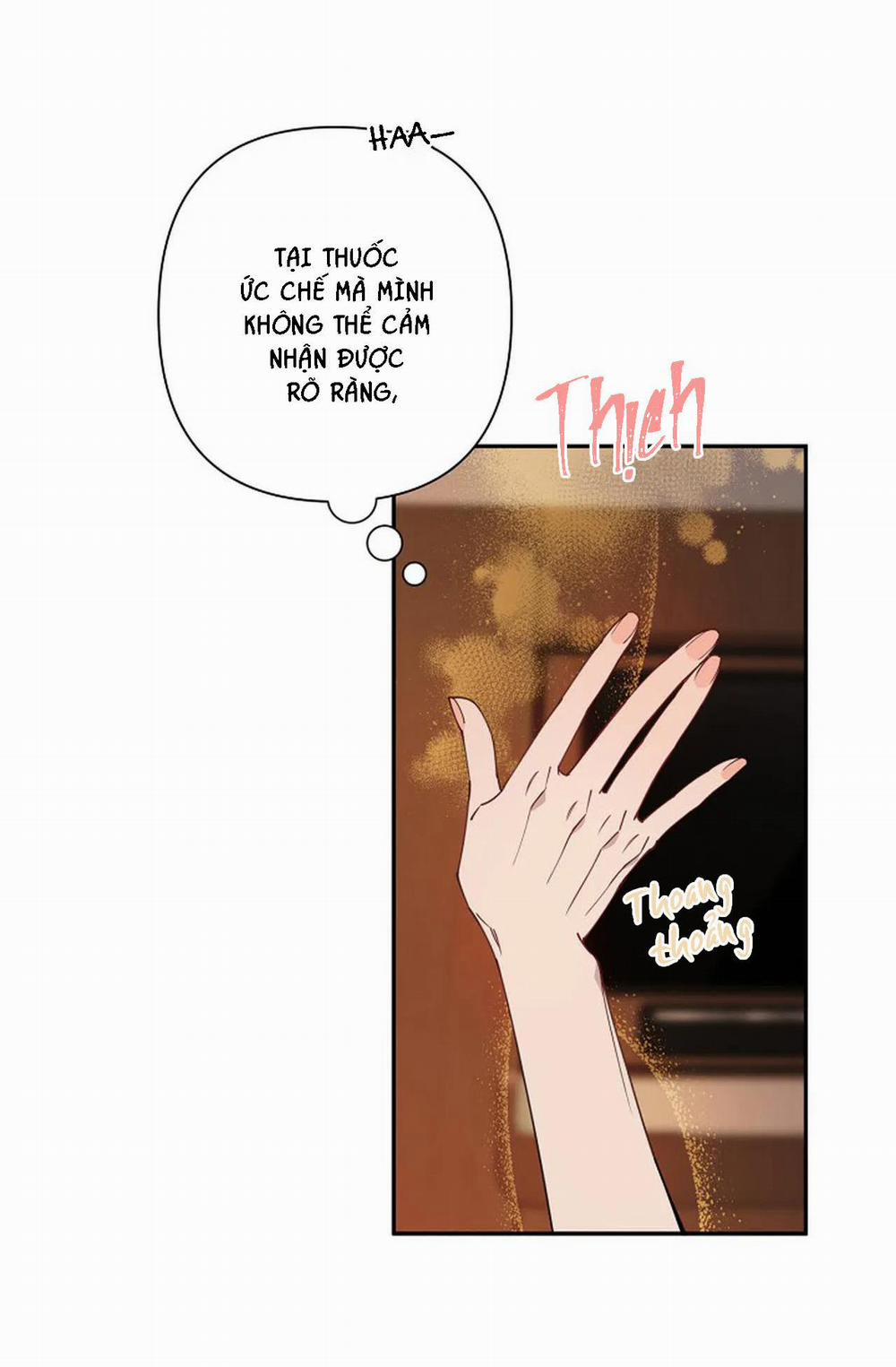 Đêm Dịu Dàng 15 trang 15