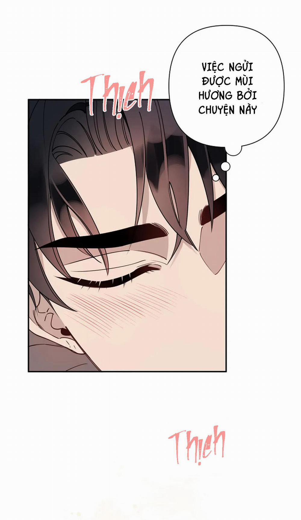 Đêm Dịu Dàng 15 trang 16