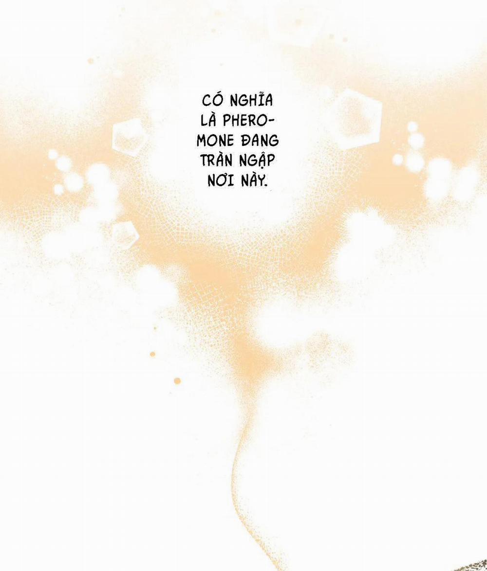 Đêm Dịu Dàng 15 trang 17