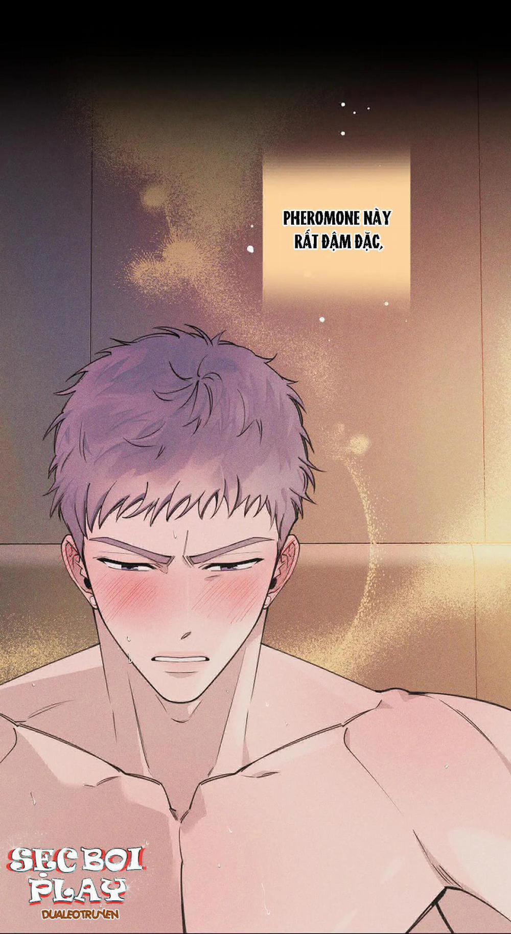 Đêm Dịu Dàng 15 trang 19