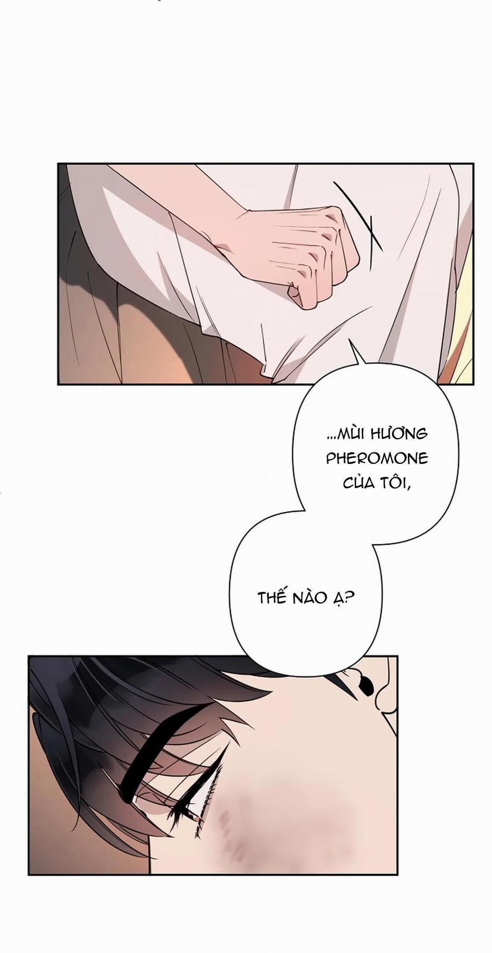 Đêm Dịu Dàng 15 trang 34