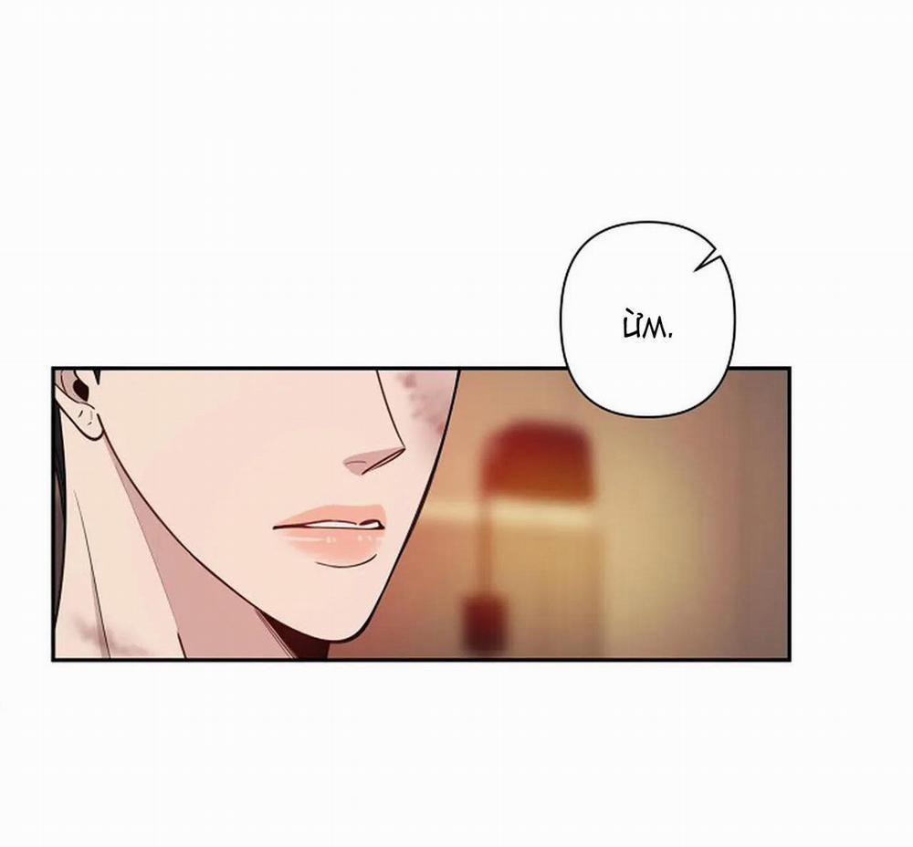 Đêm Dịu Dàng 15 trang 42