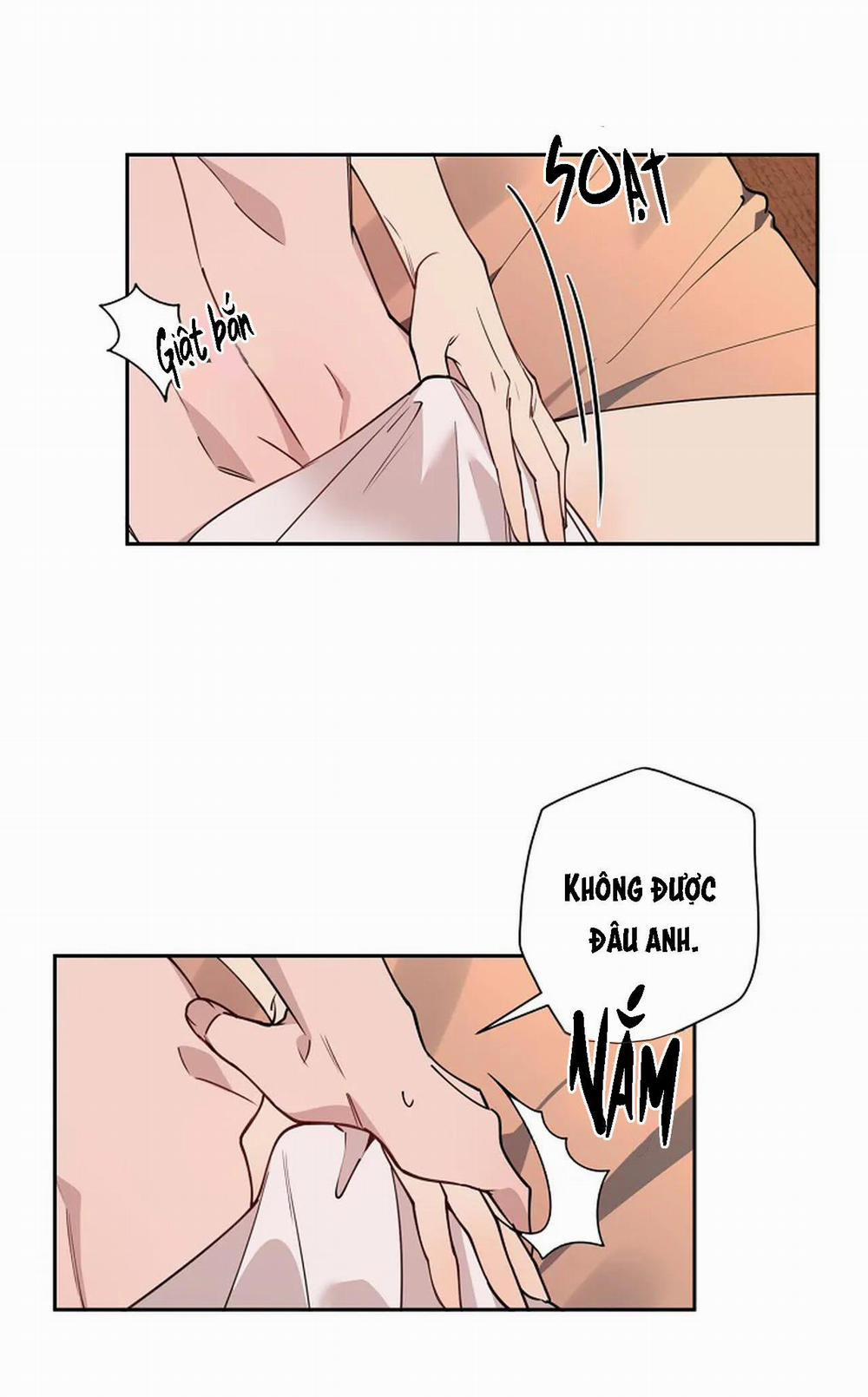 Đêm Dịu Dàng 15 trang 47