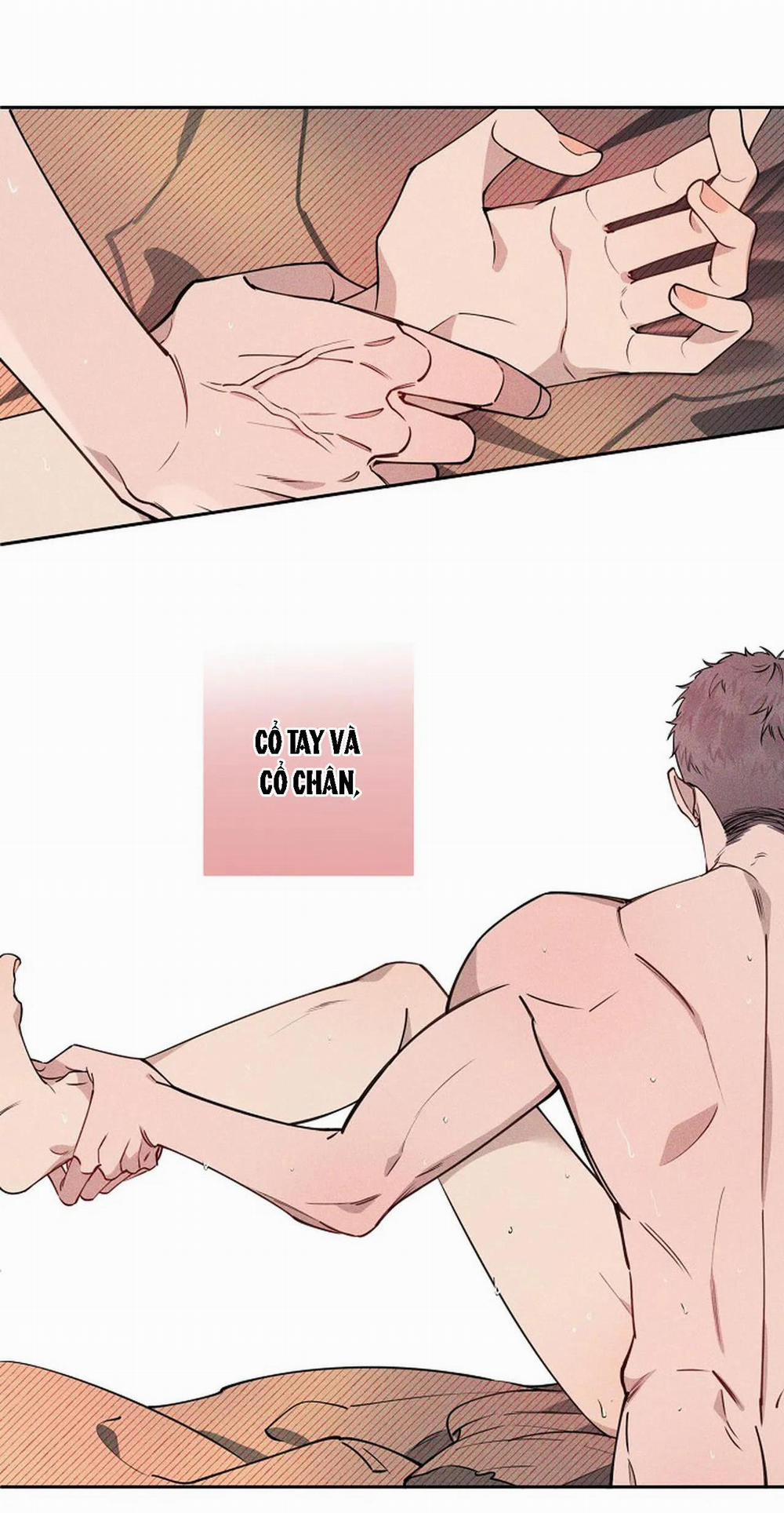 Đêm Dịu Dàng 15 trang 5