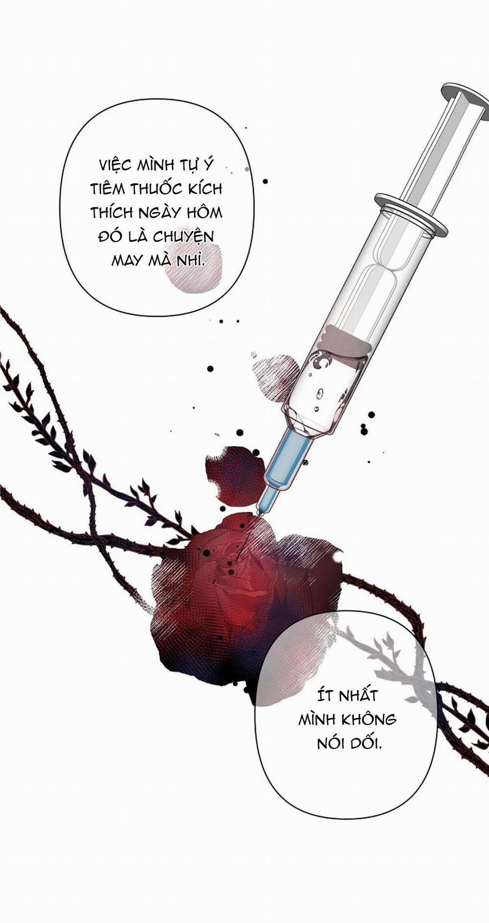 Đêm Dịu Dàng 16 trang 10