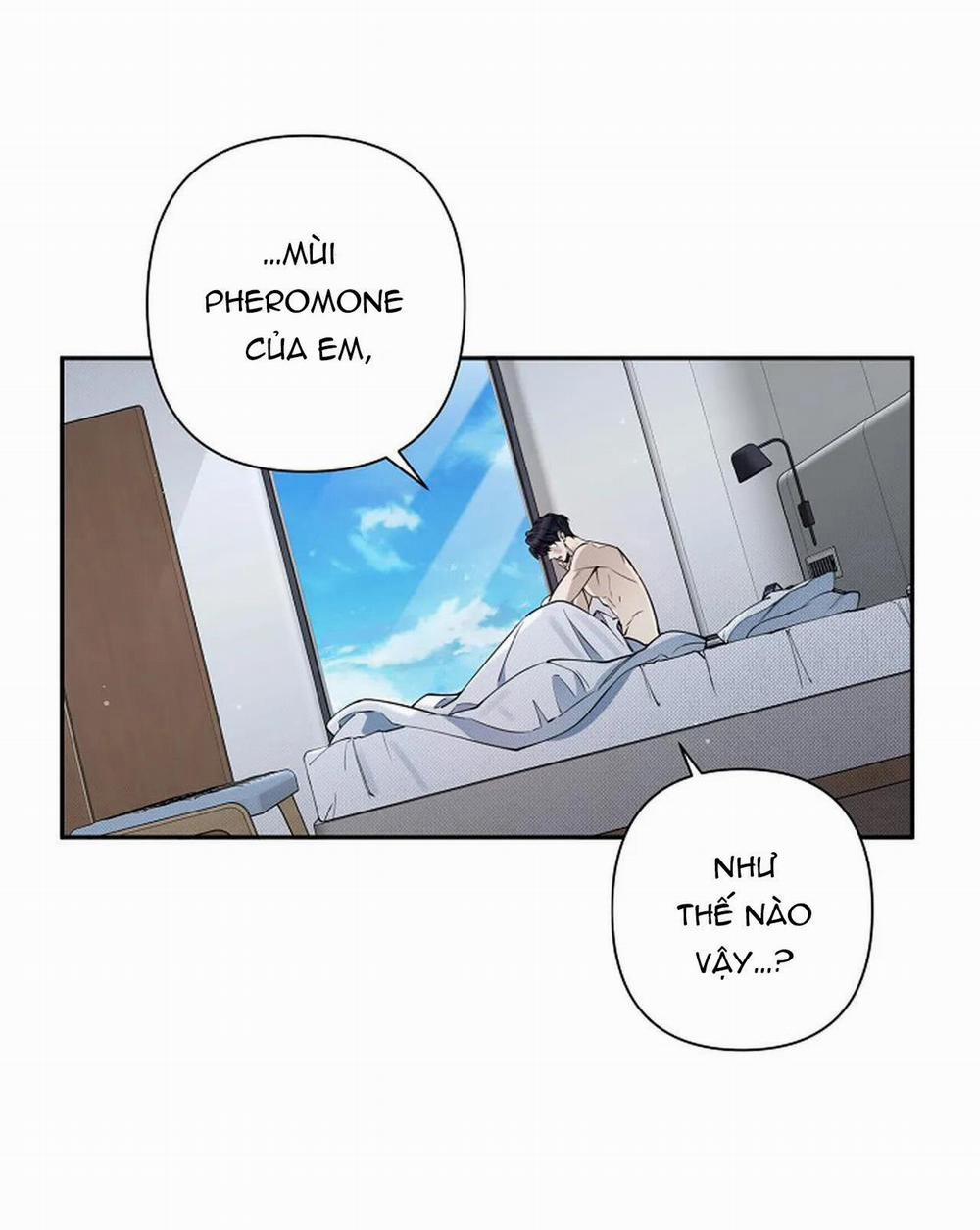 Đêm Dịu Dàng 16 trang 14