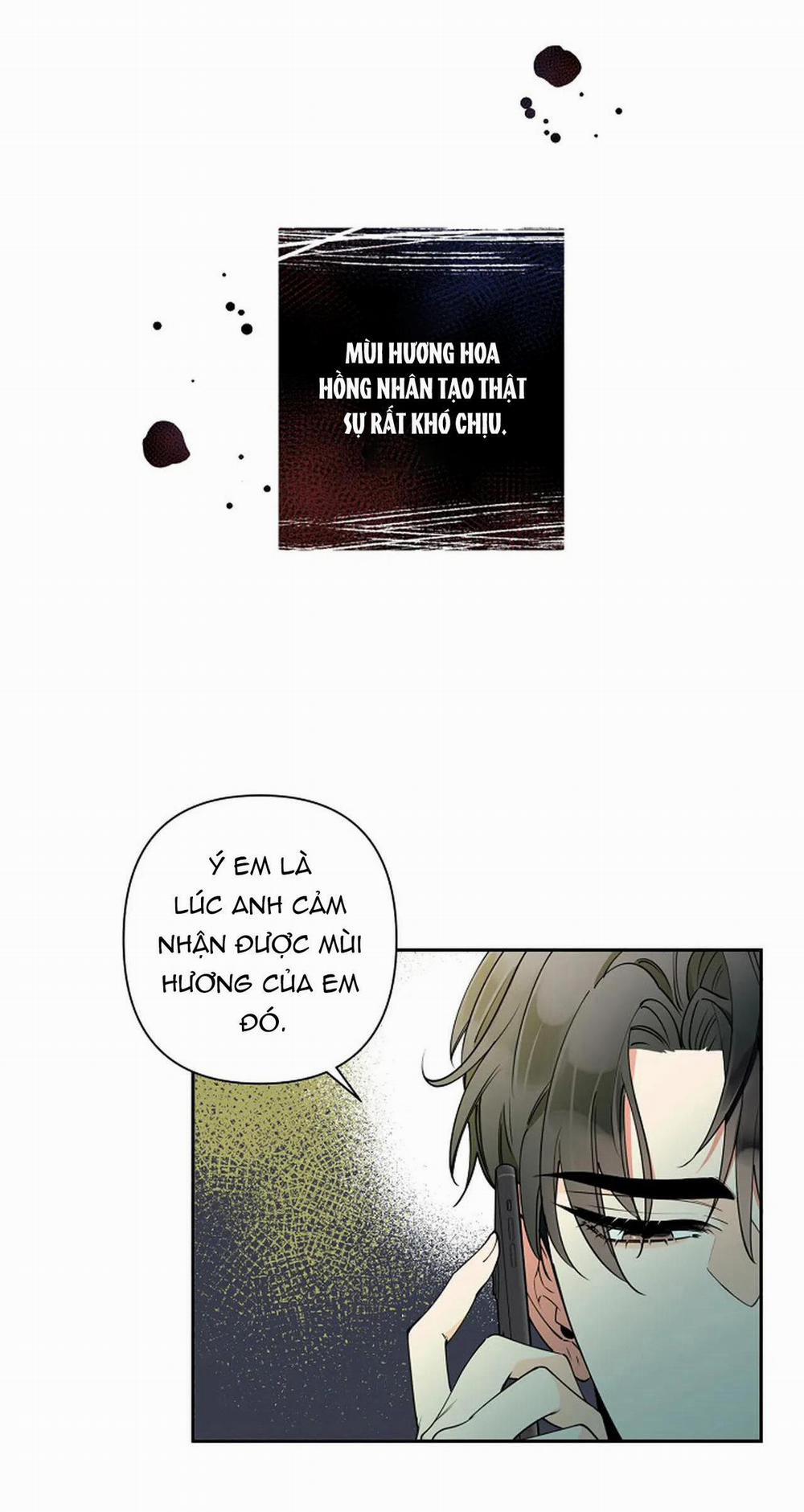 Đêm Dịu Dàng 16 trang 17