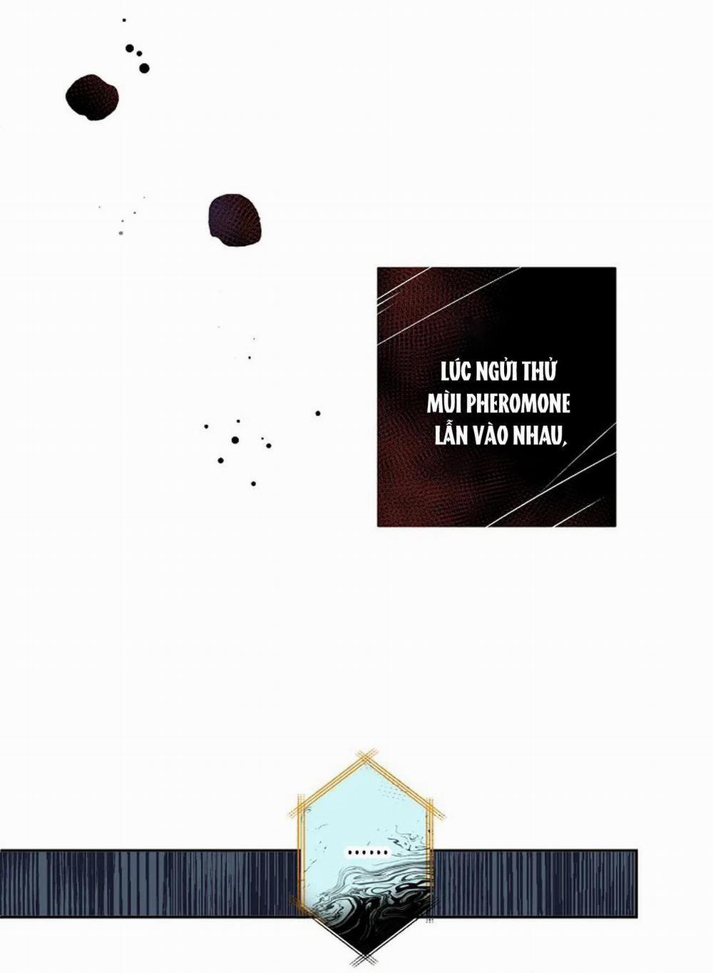 Đêm Dịu Dàng 16 trang 19