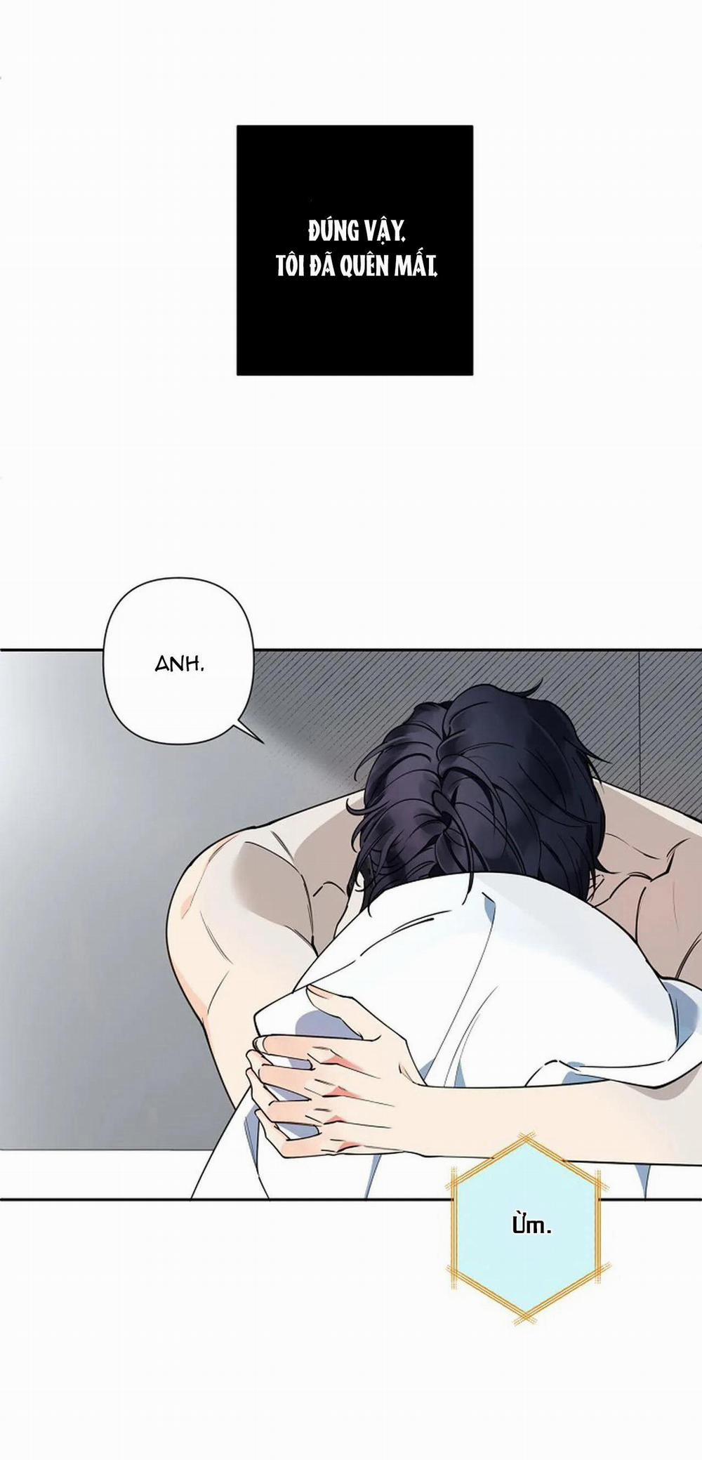 Đêm Dịu Dàng 16 trang 24