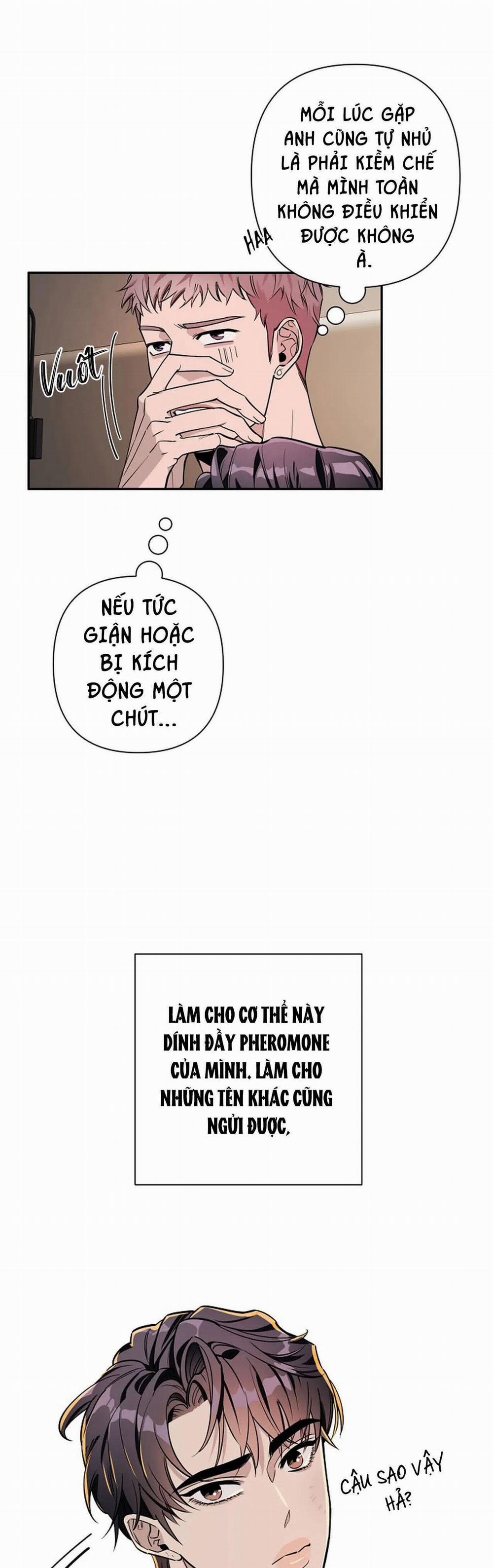 Đêm Dịu Dàng 21 trang 20