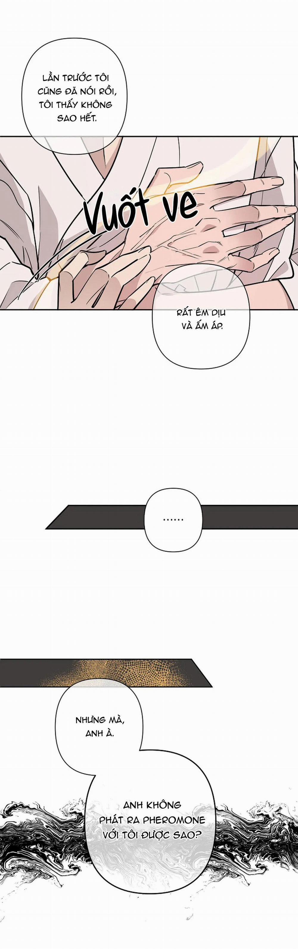 Đêm Dịu Dàng 21 trang 24