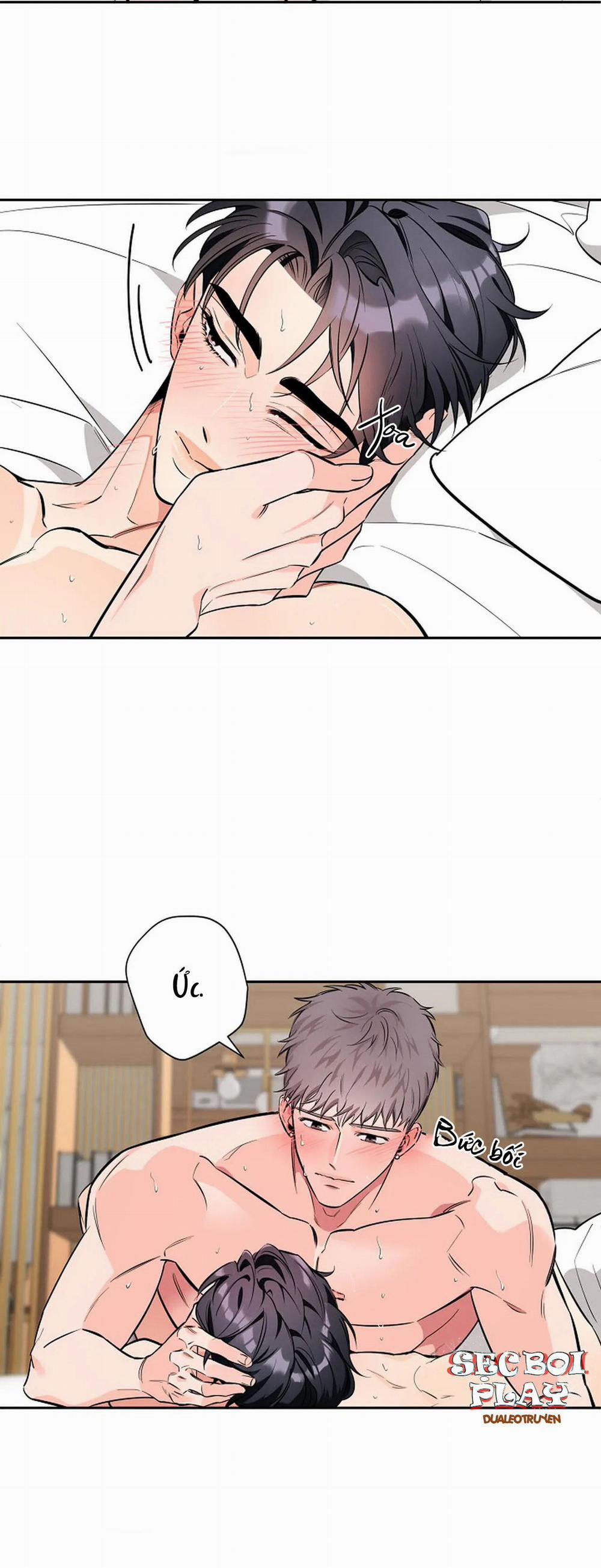 Đêm Dịu Dàng 25 trang 14