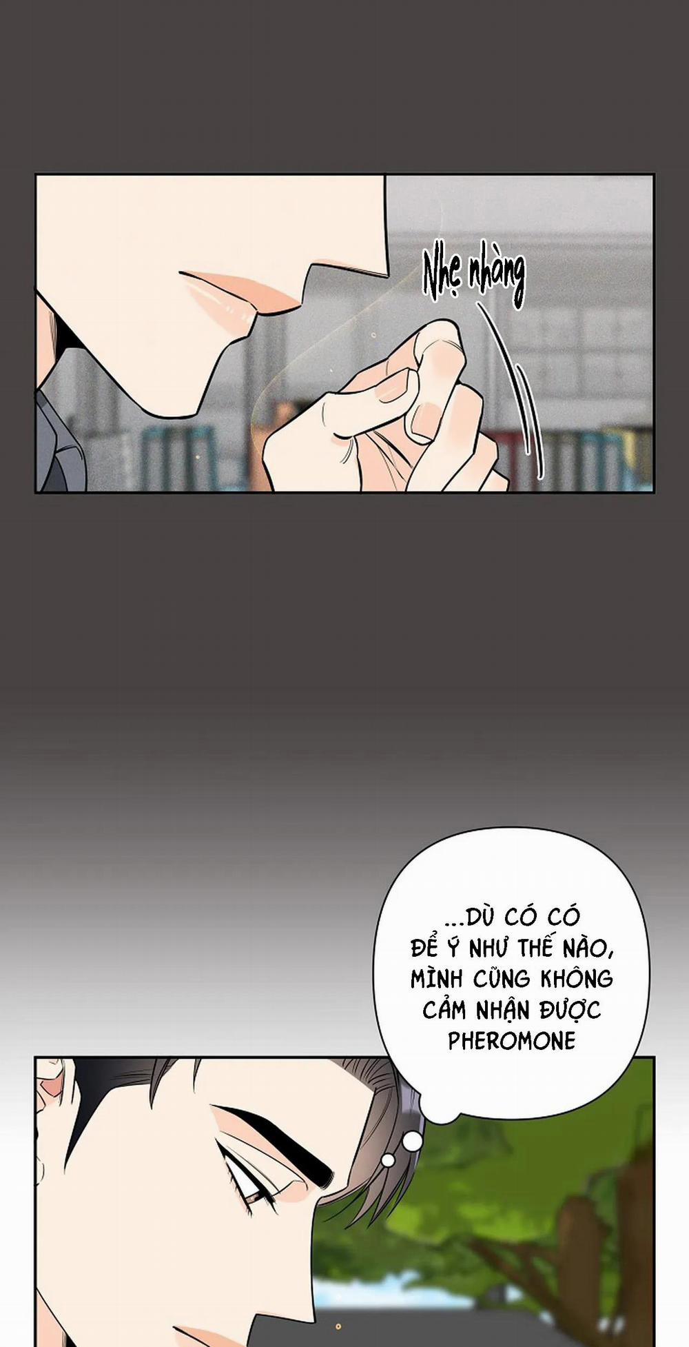 Đêm Dịu Dàng 26 trang 35