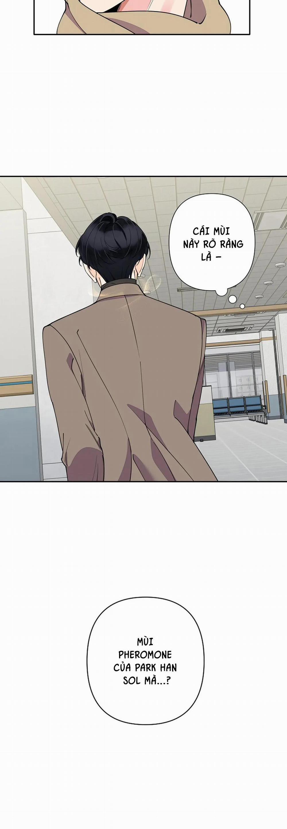 Đêm Dịu Dàng 8 trang 19