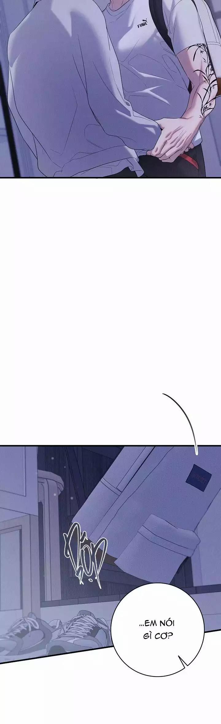 ĐÊM KHÔNG DẤU VẾT 44 trang 13