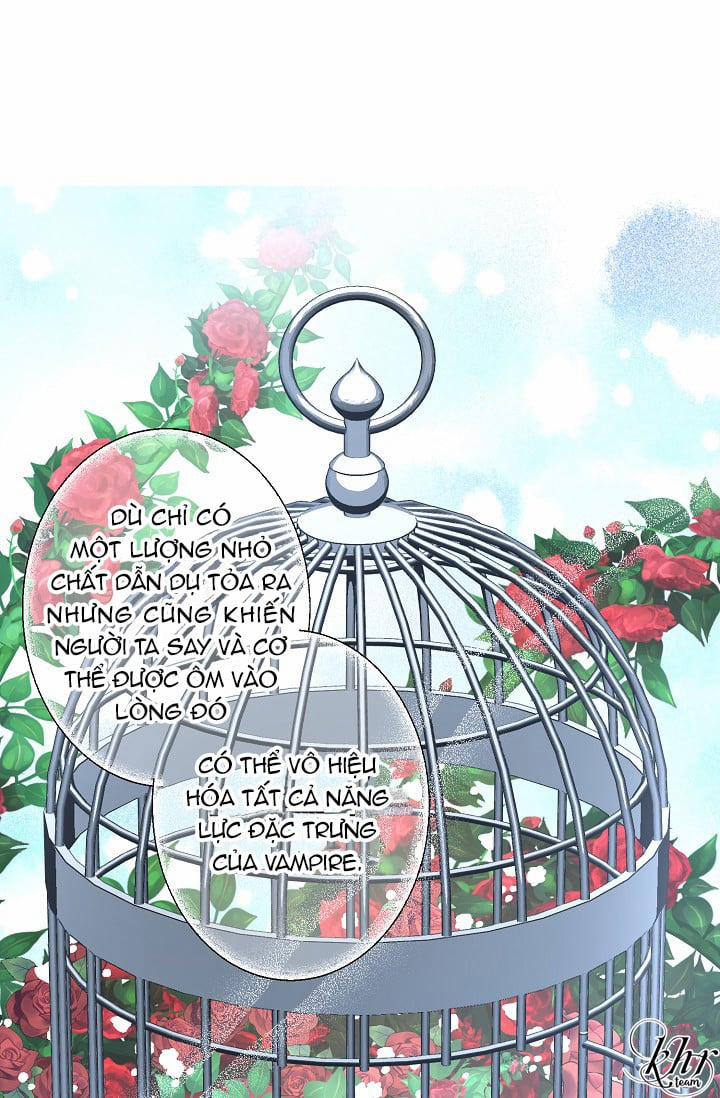 Đêm Không Ngủ 12 trang 20