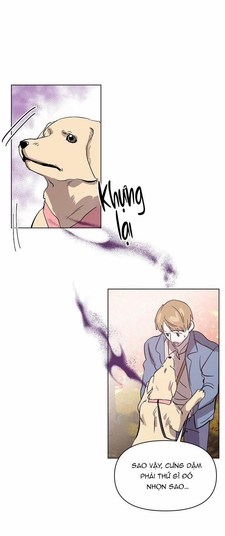 Đêm Không Ngủ 17.5 trang 12