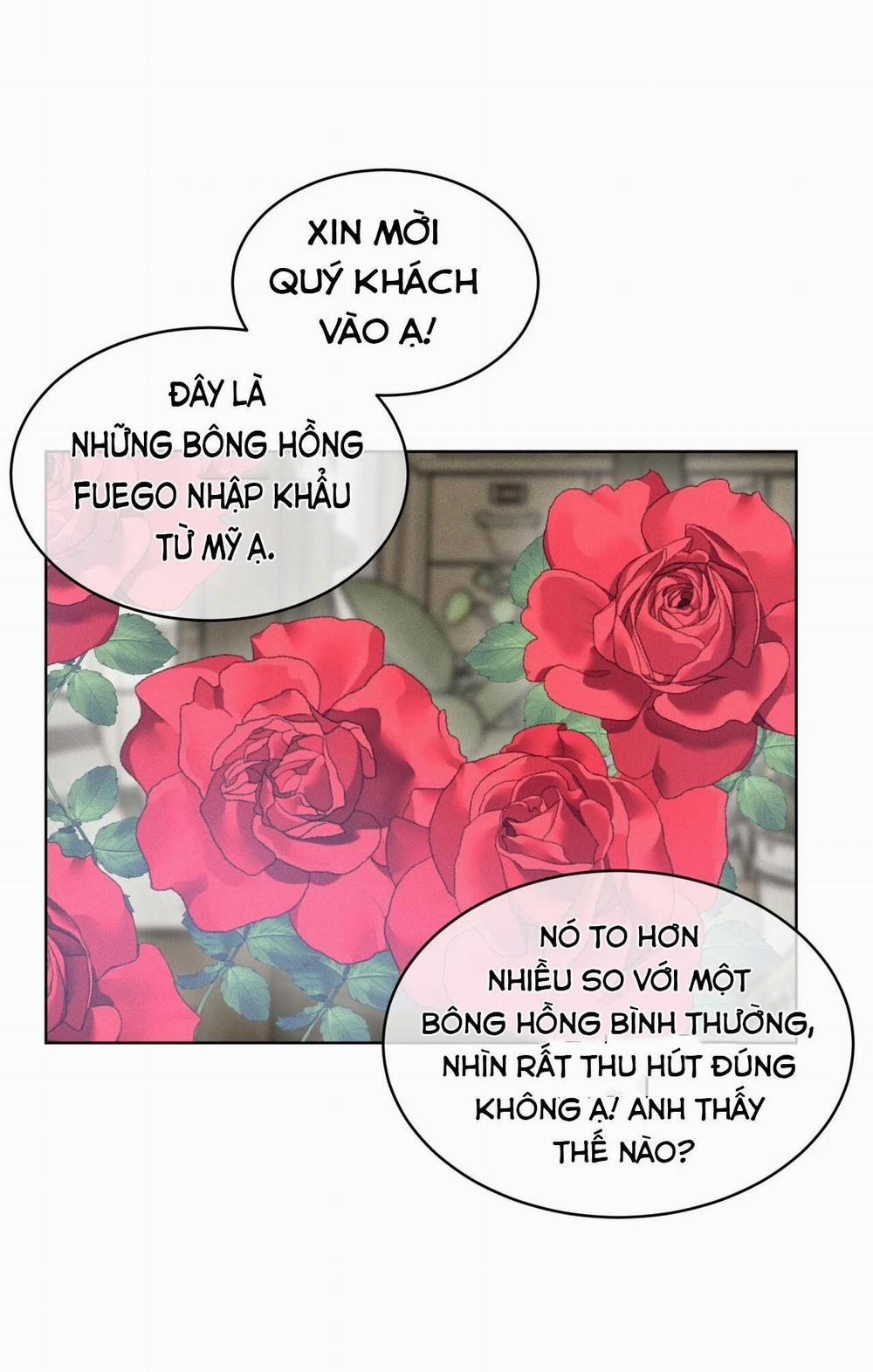 Đêm Săn Ở London 17 trang 13