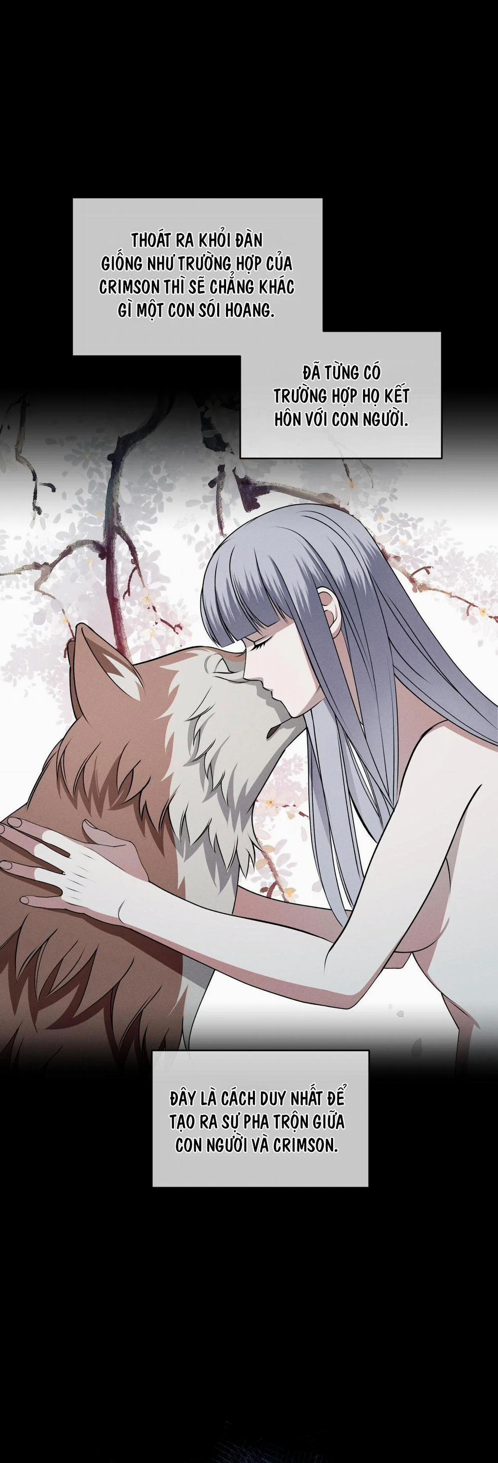 Đêm Săn Ở London 26 trang 12