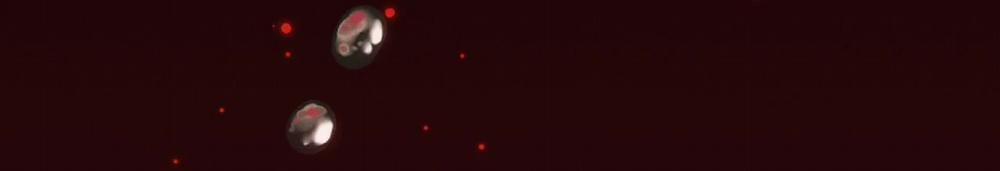 Đêm Săn Ở London 8 trang 173