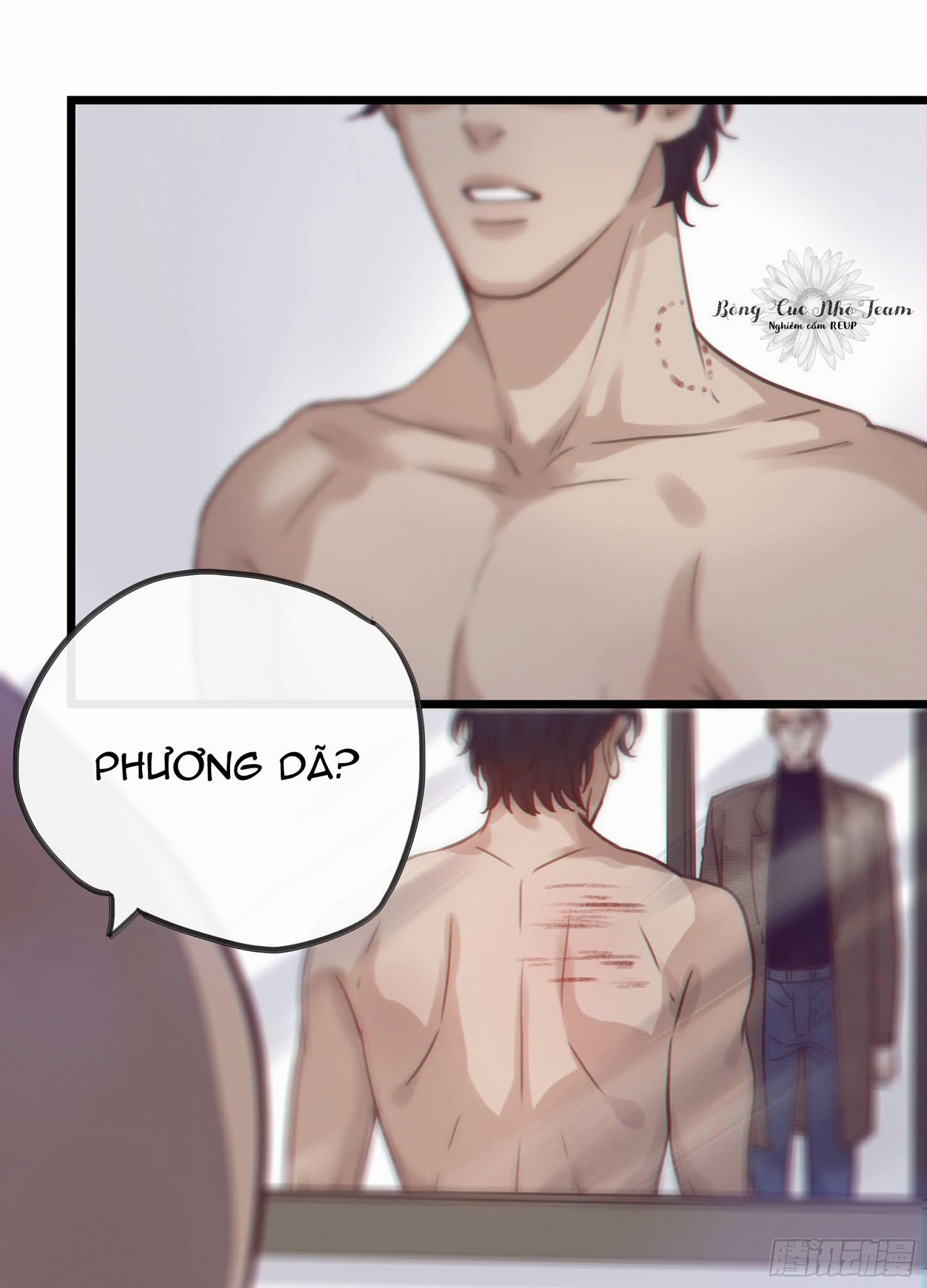 Đêm Sao 11 trang 20