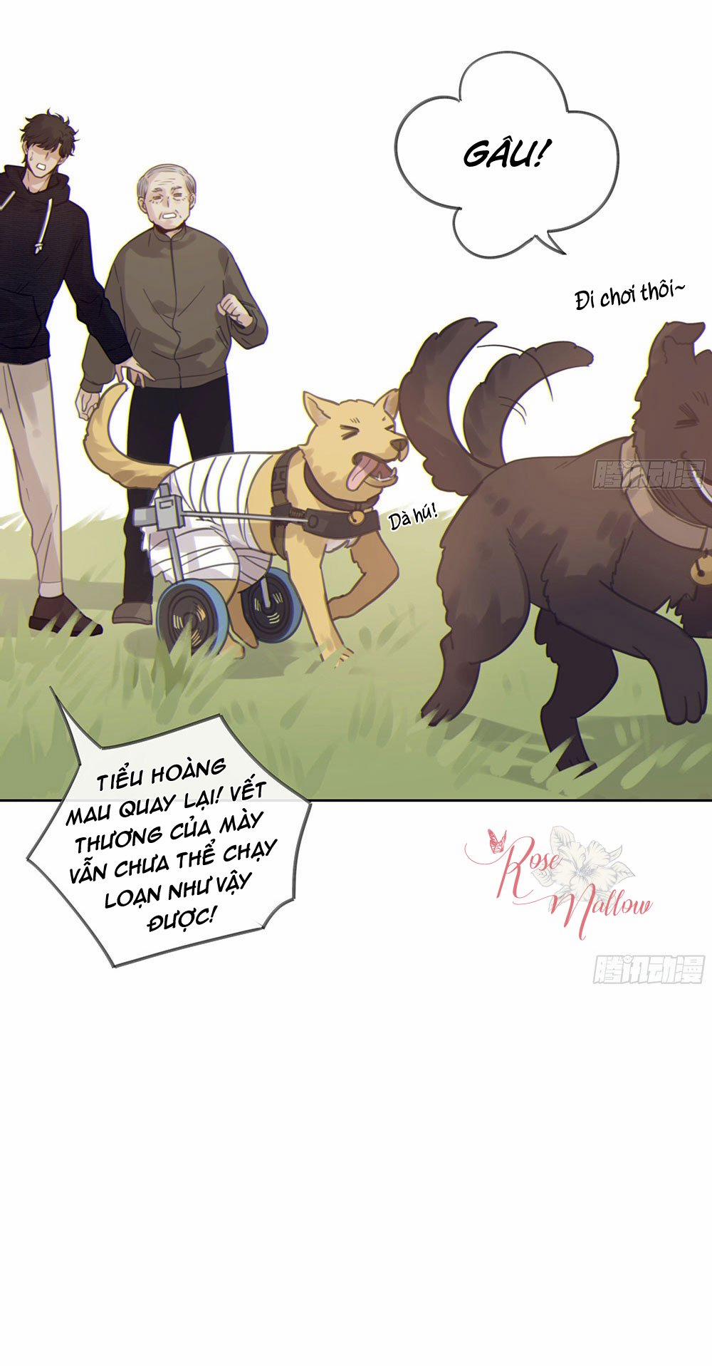 Đêm Sao 26 trang 14