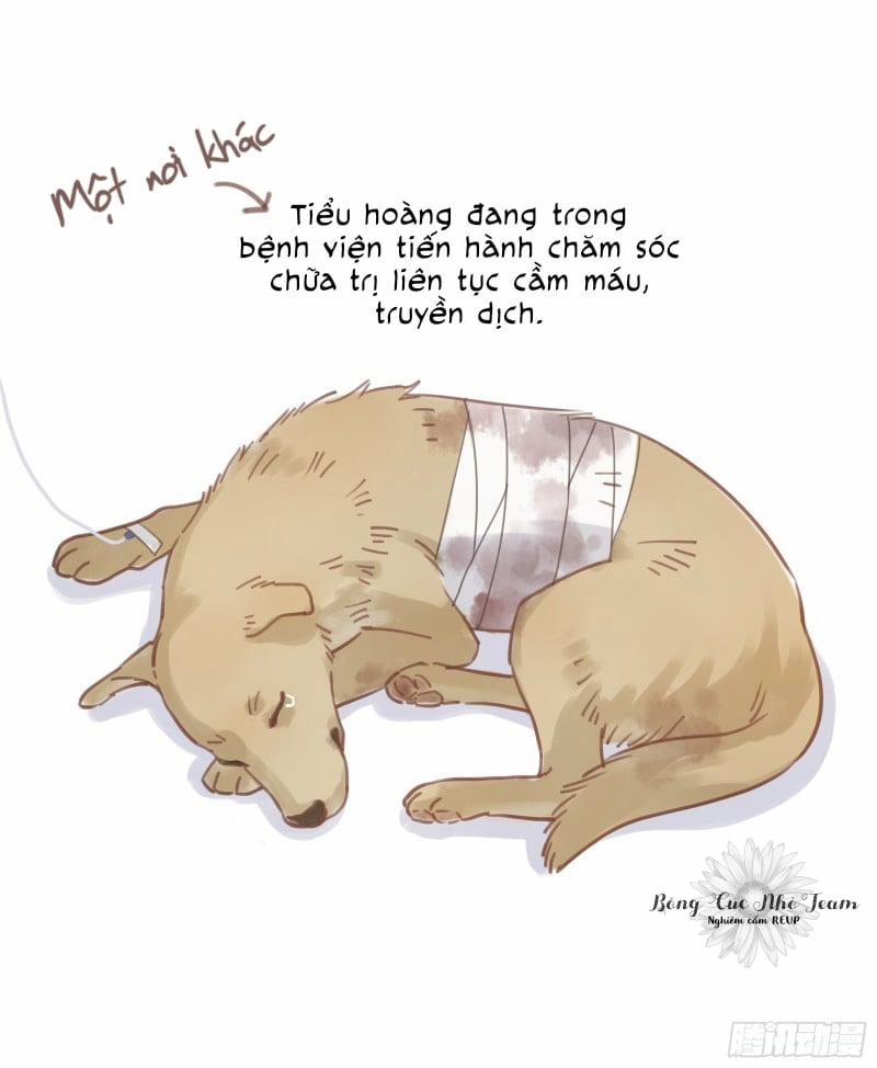 Đêm Sao 4 trang 48