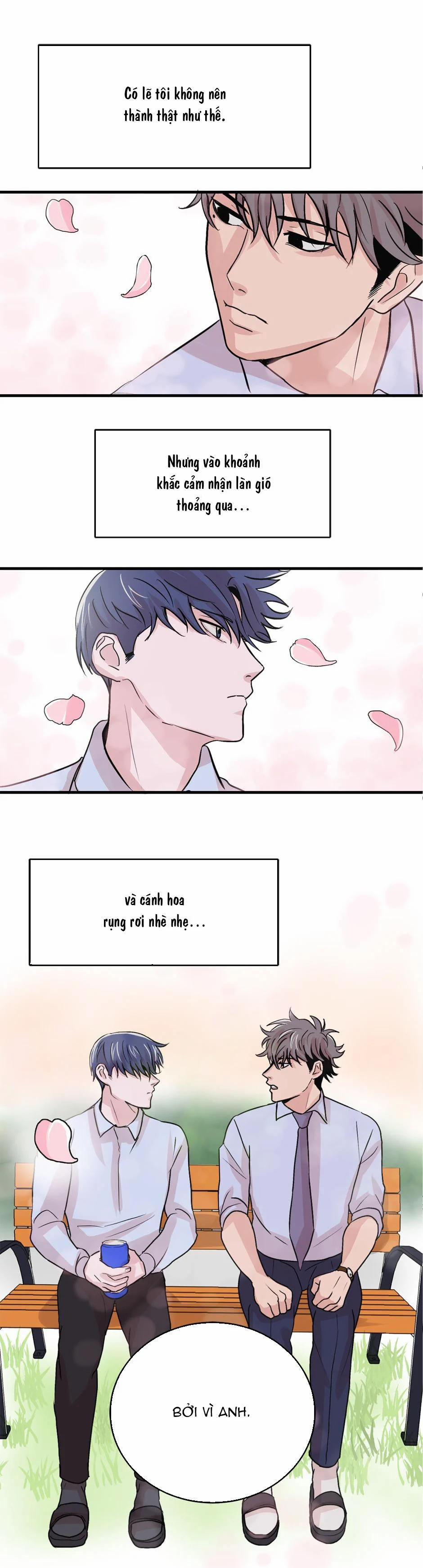 Đến Khi Môi Ta Chạm Nhau 12 trang 8