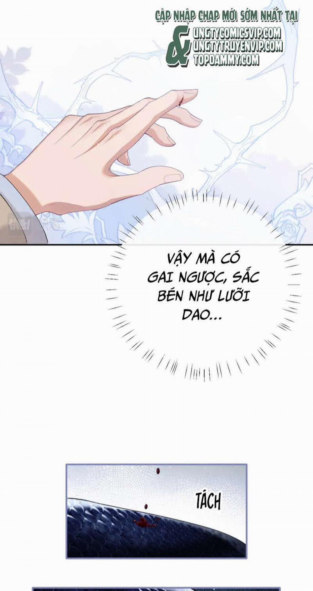 Desharow Nhân Ngư 1 trang 37