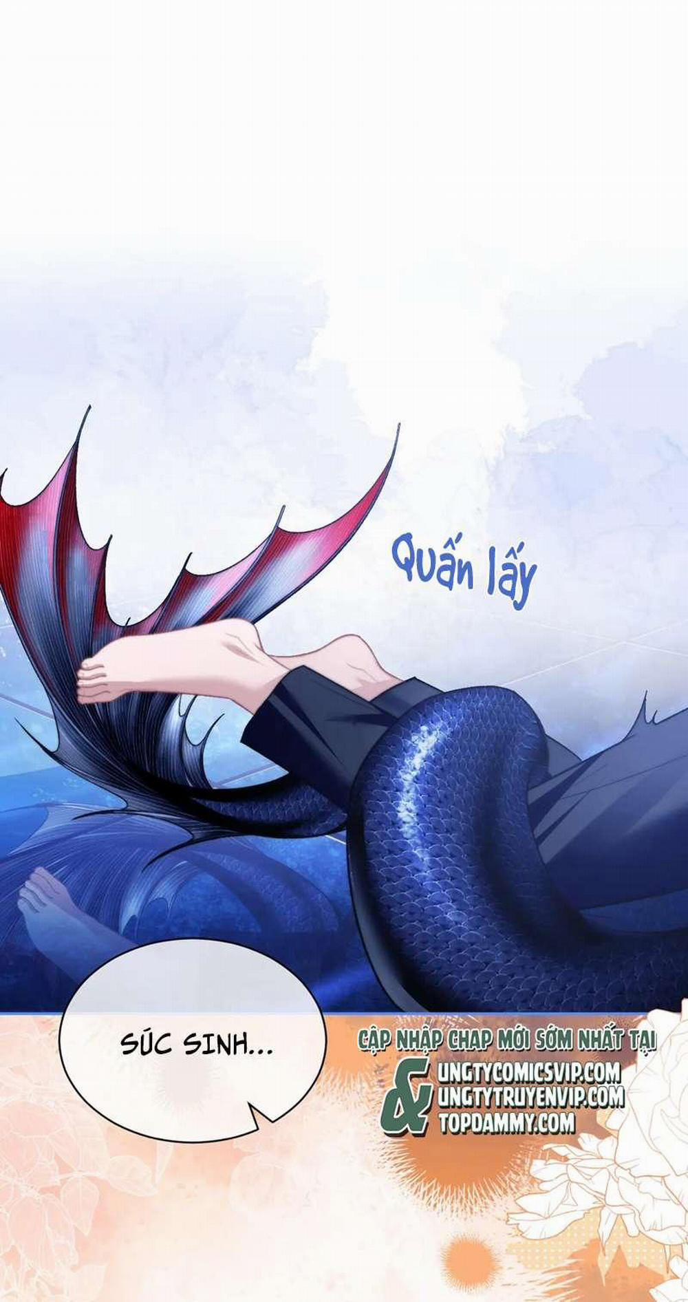 Desharow Nhân Ngư 15 trang 1