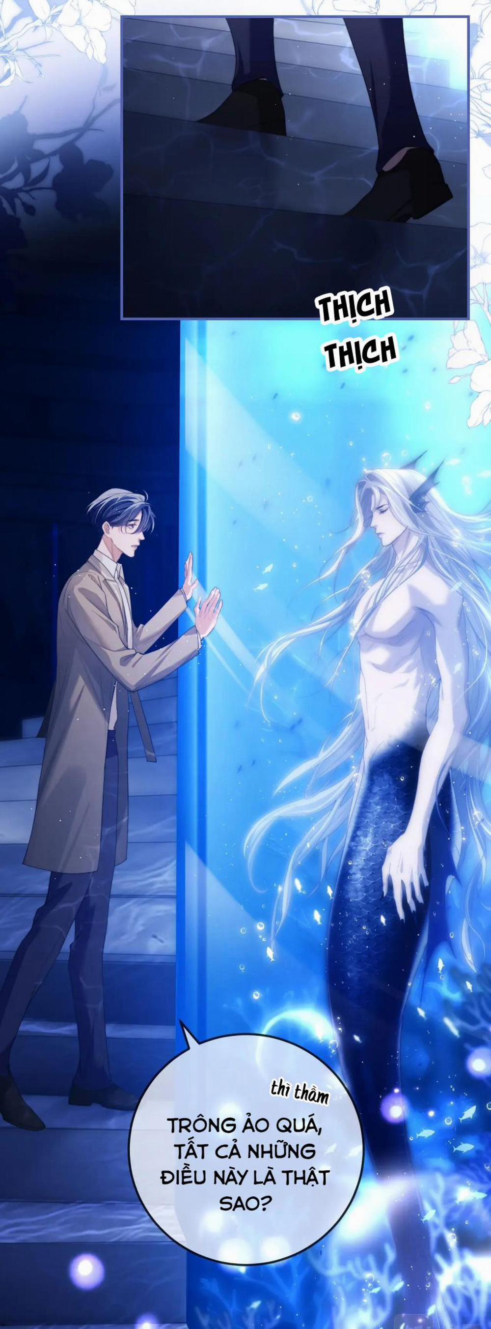 Desharow Nhân Ngư 2 trang 33