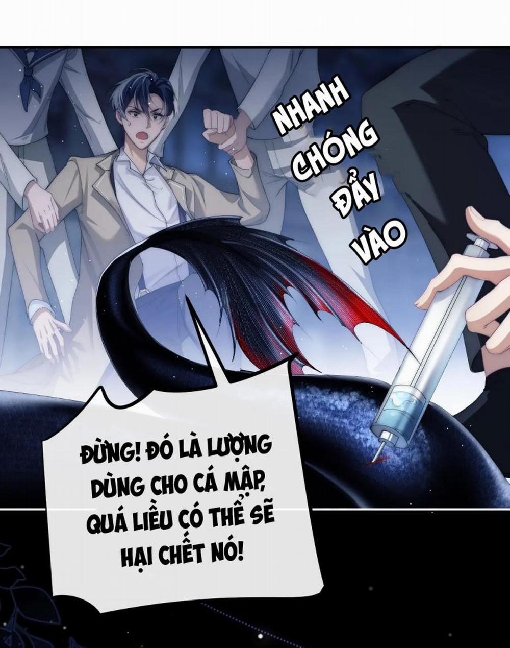 Desharow Nhân Ngư 2 trang 8