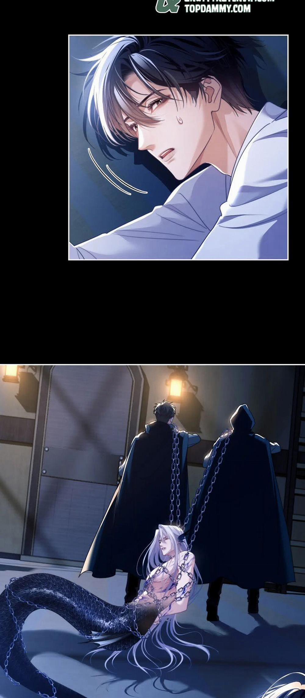 Desharow Nhân Ngư 25 trang 13