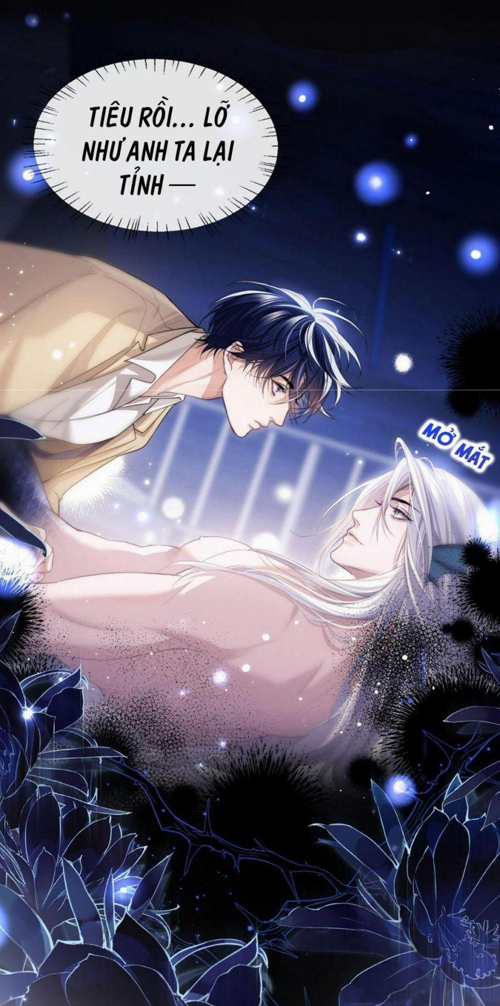 Desharow Nhân Ngư 4 trang 1