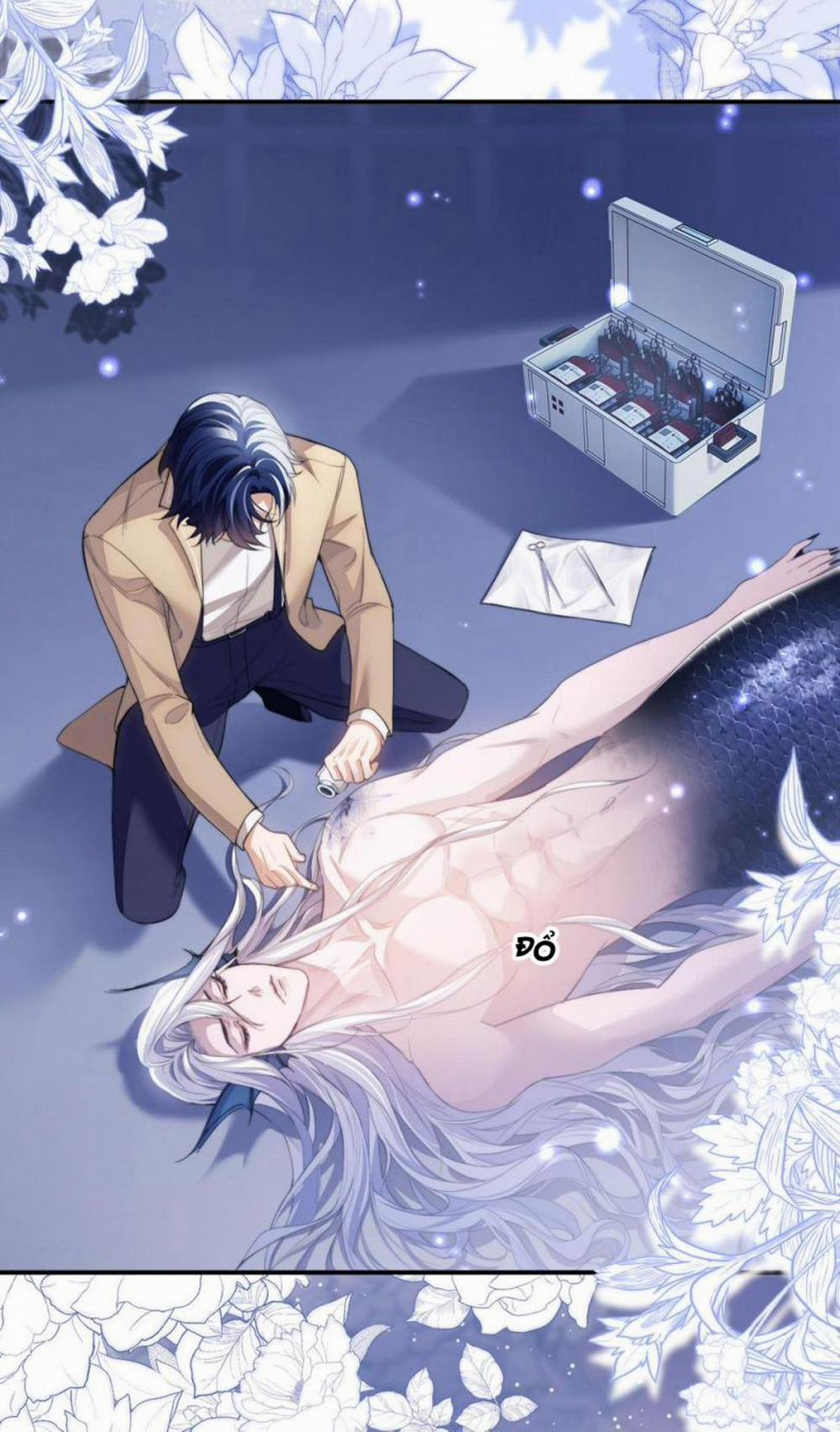 Desharow Nhân Ngư 4 trang 13