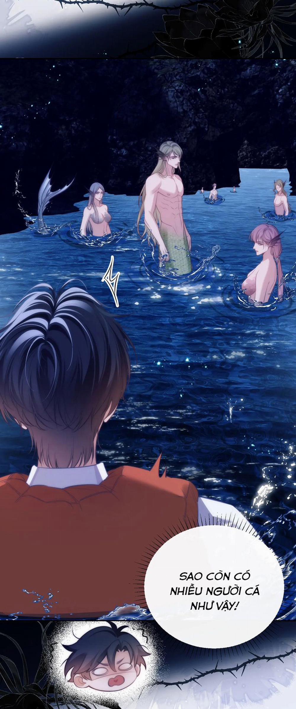 Desharow Nhân Ngư 41 trang 11