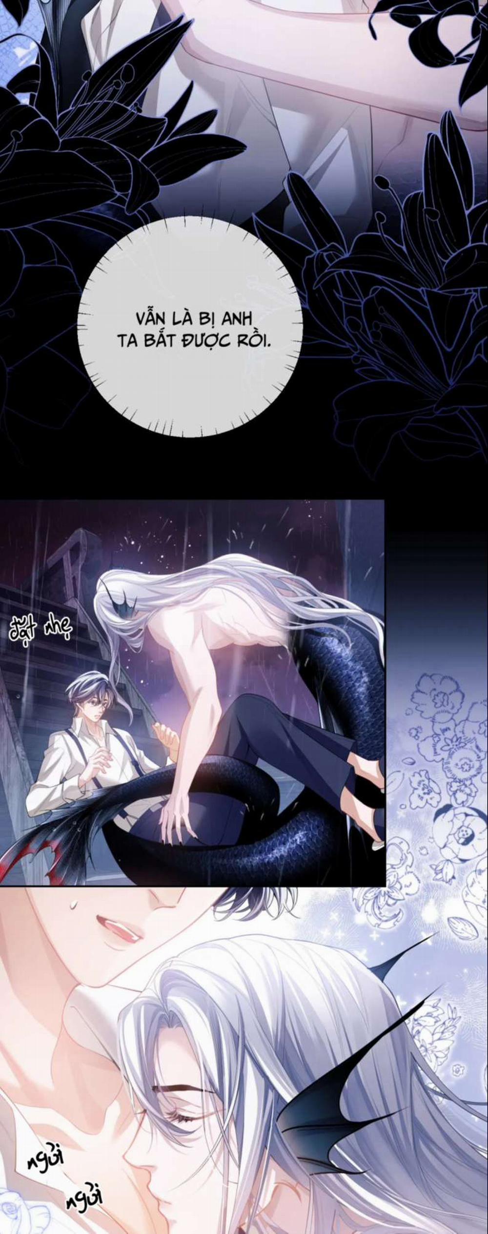 Desharow Nhân Ngư 6 trang 30