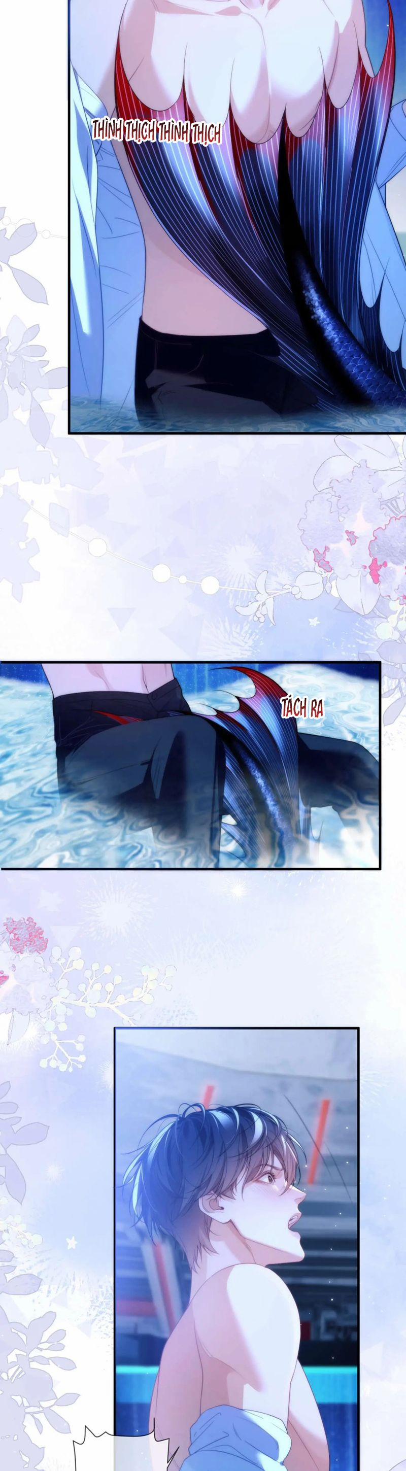 Desharow Nhân Ngư 78 trang 3