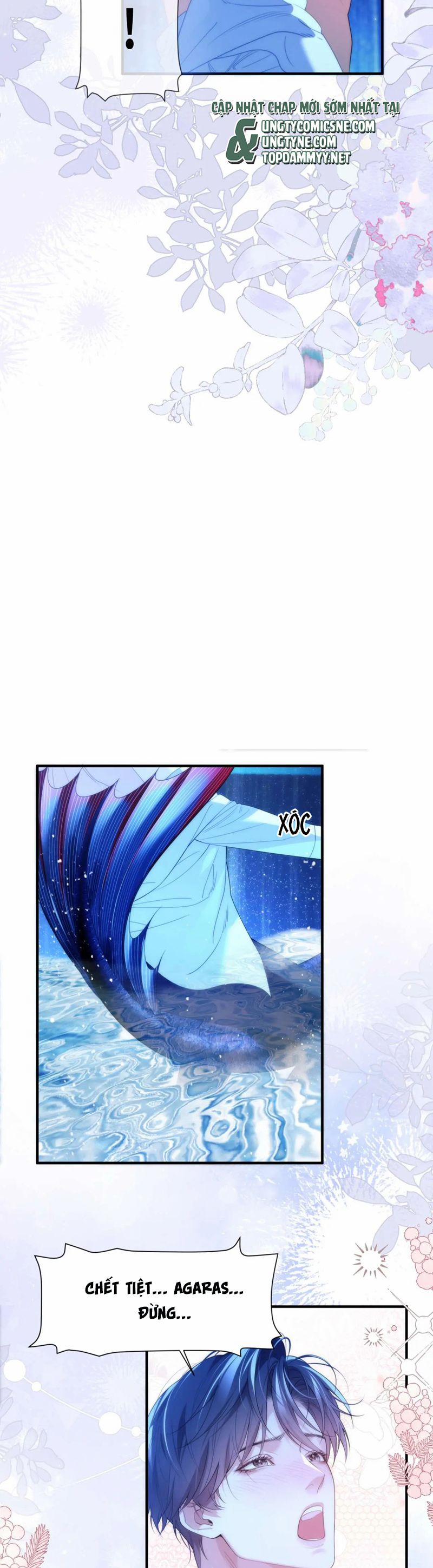 Desharow Nhân Ngư 78 trang 4