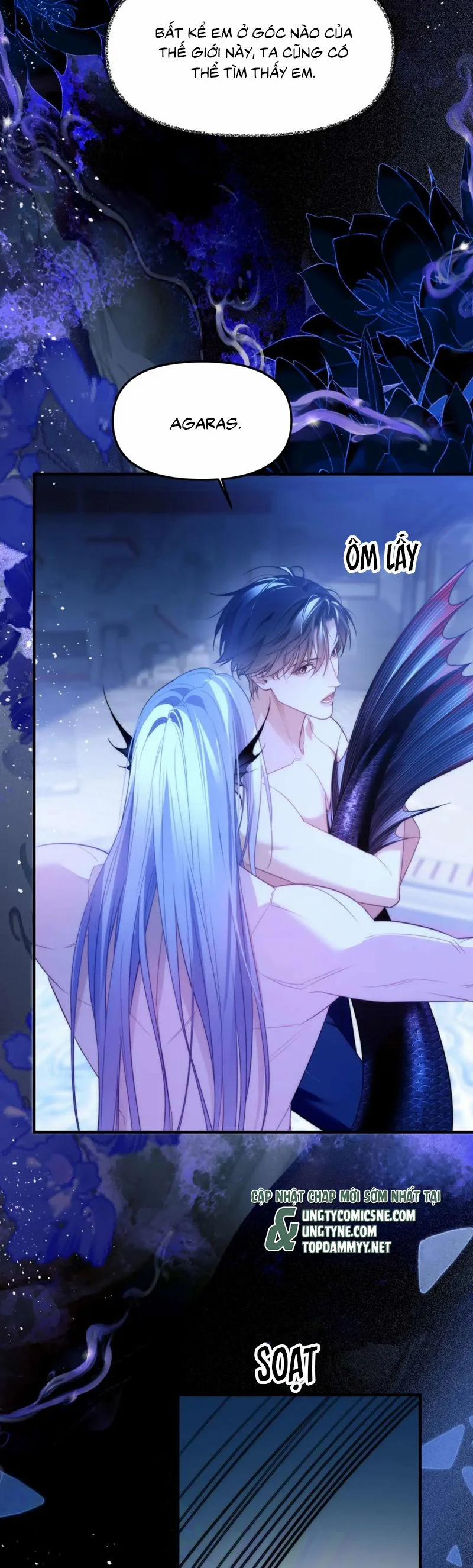 Desharow Nhân Ngư 79 trang 6