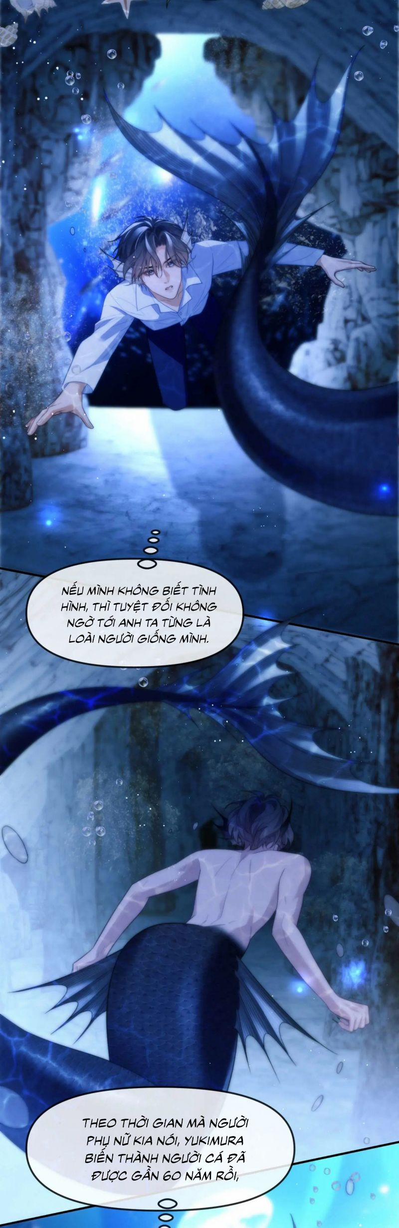 Desharow Nhân Ngư 82 trang 11