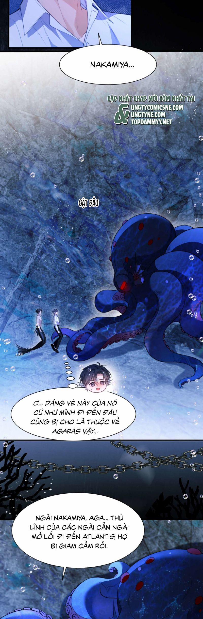 Desharow Nhân Ngư 83 trang 1