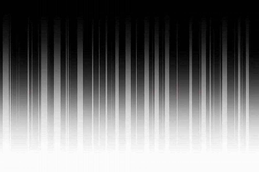 Đi Săn Tự Động Bằng Phân Thân 6 trang 170